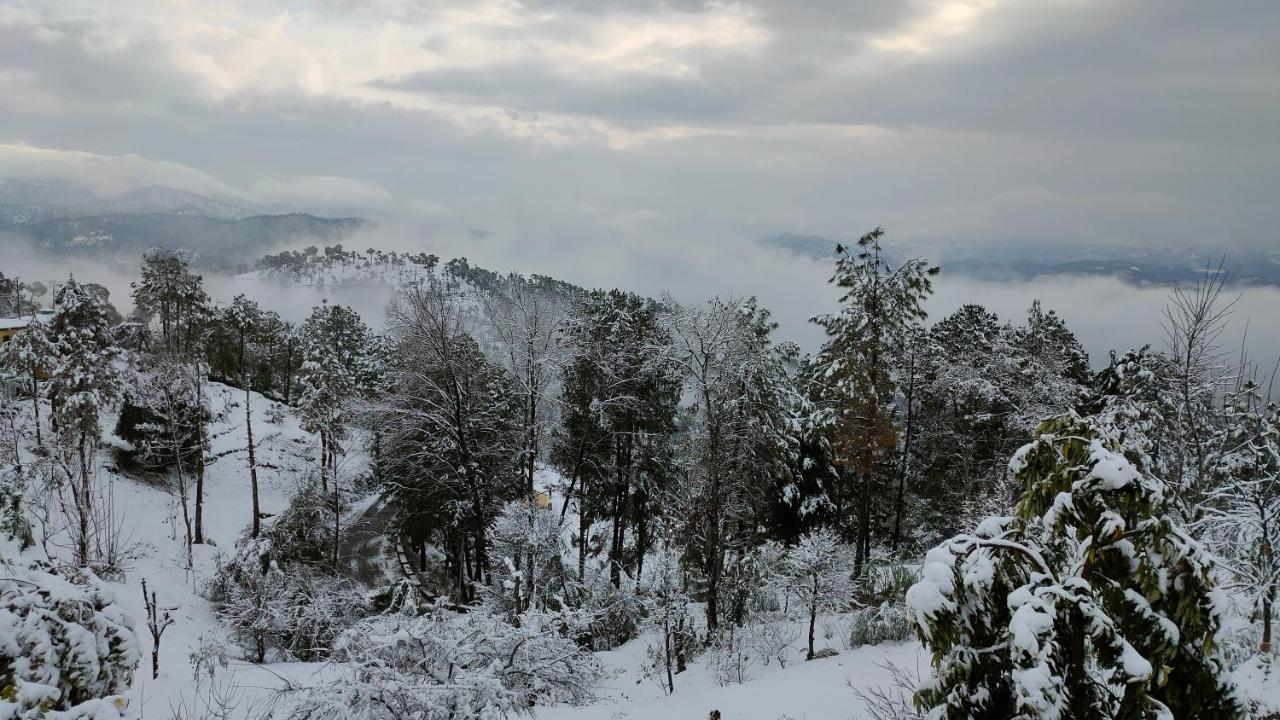 Kasar Wonder Hill Homestay Алмора Екстер'єр фото